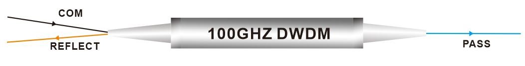 DWDM F.jpg