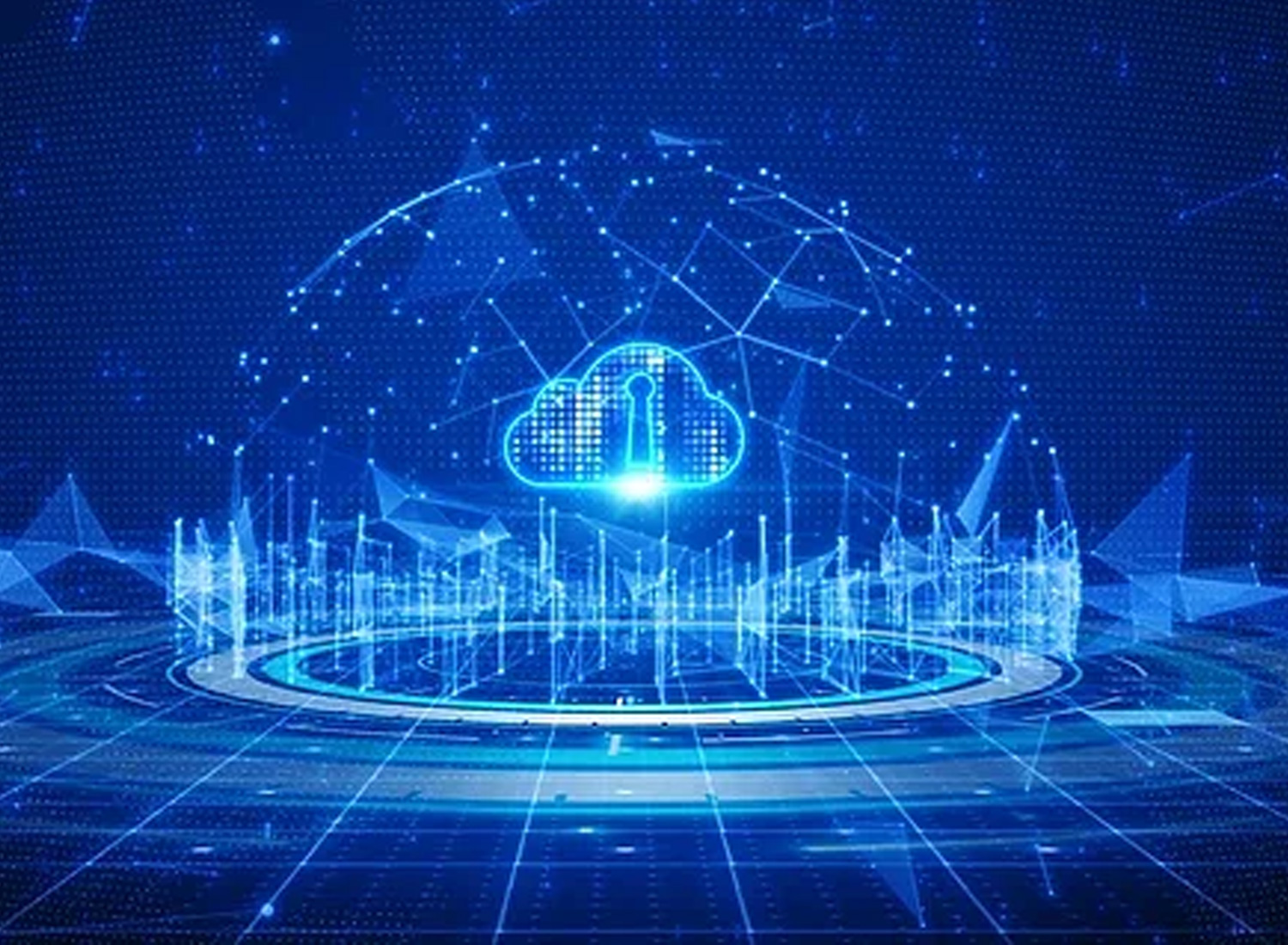 Capacity Expansion and Flexibility—DWDM Network